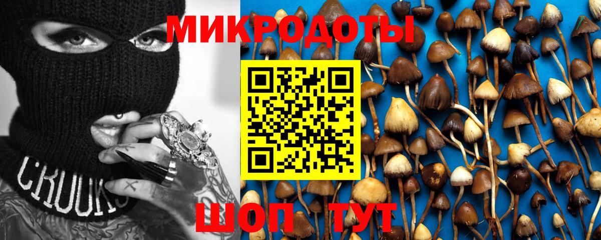 Шелехов  Псилоцибиновые грибы ЛСД  Вход с VPN  Галлюциногенные грибы GOLDEN TEACHER 