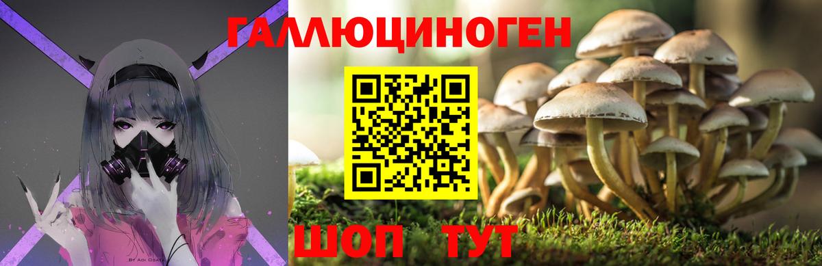 Псилоцибиновые грибы мухоморы Шелехов